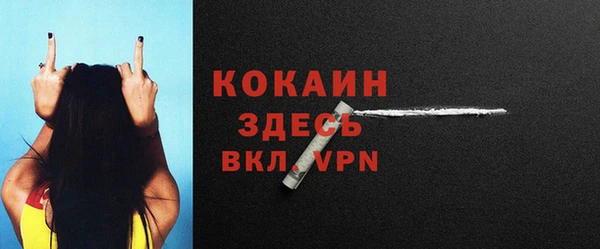 ПСИЛОЦИБИНОВЫЕ ГРИБЫ Белоозёрский