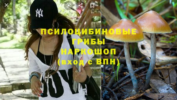 дурь Богданович
