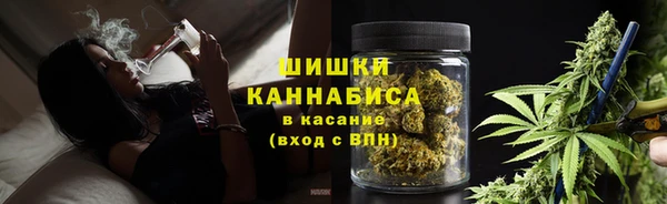 дурь Богданович