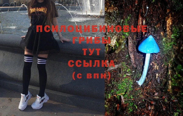 дурь Богданович