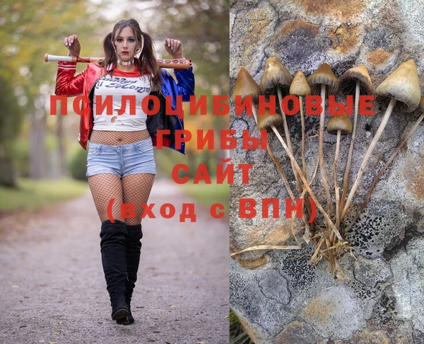 прущая мука Богородицк