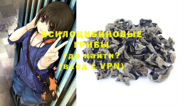 дурь Богданович