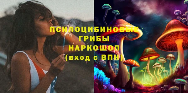 дурь Богданович