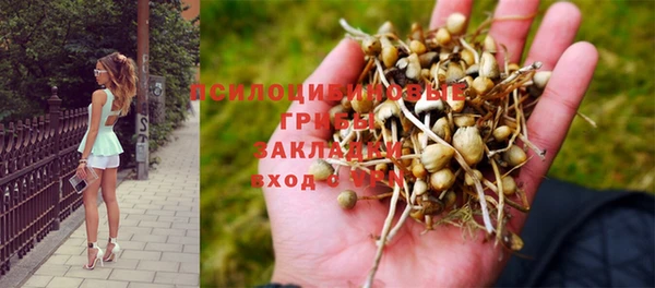 дурь Богданович