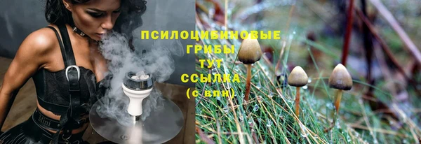 прущая мука Богородицк