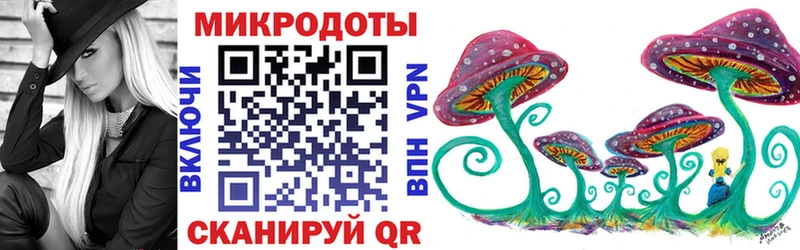 Псилоцибиновые грибы Psilocybe  Свободный 